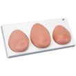 A3BS Breast Self Examination model With three single breasts on base