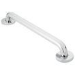Moen Polished Stainless Steel Finish Grab Bar