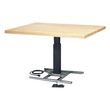 Bailey Electric Professional Hi-Low Work Table