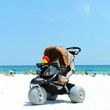 DeBug Baby Bug Beach Stroller Baby Jogger