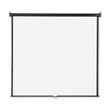 Quartet Wall or Ceiling Projection Screen