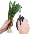 OXO Good Grips Kitchen And Herb Scissors