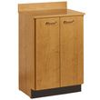 Clinton Treatment Cabinet with Two Doors
