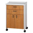 Clinton Molded Top Mobile Treatment Cabinet with Two Doors and Two Drawers