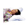 Hermell Butterfly Pillow with White Polycotton Cover