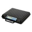  Brecknell 100 lb and 250 lb Portable Bench Scales