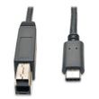 Tripp Lite USB 3.1 Gen 1 USB-C Cable