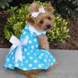 Doggie Design Blue Polka Dot Dog Dress With Matching Leash