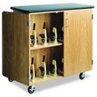 Diversified Woodcrafts Mobile Microscope Storage Cabinet