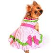 Doggie Design Watermelon Dog Dress