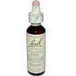 Bachflower Pine Homeopathic Drops