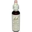 Bachflower Red Chestnut Homeopathic Drops