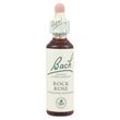 Bachflower Rock Rose Homeopathic Drops