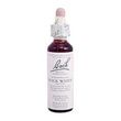 Bachflower Rock Water Homeopathic Drops