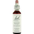 Bachflower Willow Homeopathic Drops