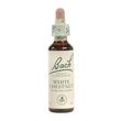 Bachflower White Chestnut Homeopathic Drops