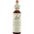 Bachflower Wild Rose Homeopathic Drops