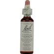 Bachflower Clematis Homeopathic Drops