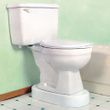 Sammons Preston Toilevator Toilet Riser