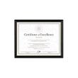 DAX Two-Tone Document/Diploma Frame