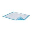 Attends Dri-Sorb Disposable Underpads - Light Absorbency