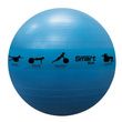 Prism Fitness Smart Stability Ball Blue