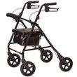 ProBasics Deluxe Aluminum Rollator With Eight Inch Wheels