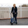 3 Wheel Rollator with Seat