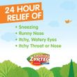 Zyrtec 24 Hour Children's Allergy Syrup with Cetirizine HCl