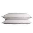 Sleep and Beyond Organic Cotton Waterproof Pillow Encasement