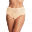 QT Intimates Modern Panty With Lace Insert - Sand