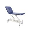 Everyway4all 2-Section Physical Therapeutic Therapy Treatment Table CA20
