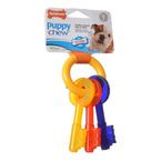 Buy Nylabone Puppy Chew Teething Keys Chew Toy