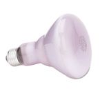 Buy GE Incandescent Reveal BR30 Light Bulb