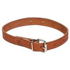 Buy Humane Restraint Leather Non-Locking Roller Buckle Belt