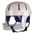 Buy Danmar Hard Shell Helmet with Face Bar