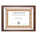 Buy NuDell Award-A-Plaque