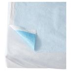 Buy Medline Blue Tissue/Poly Drape Sheet