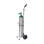 Buy Responsive Respiratory E Cylinder - 8 LPM Regulator And Cart Kit