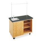 Buy Diversified Woodcrafts Economy Mobile Lab Table