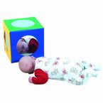 Buy Childrens Factory 5 Sided See-Me Cube