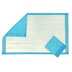 Buy BodyMed Disposable Underpads