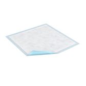 https://i.webareacontrol.com/fullimage/168-X-168/1/y/19122017569tena-disposable-regular-underpad---moderate-absorbency-T.png