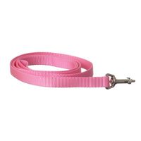 Buy Coastal Pet Nylon Lead - Bright Pink