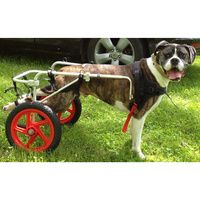 Buy Best Friend Mobility Rear Support Dog Wheelchair
