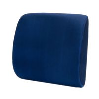 Buy McKesson Lumbar Support Seat Cushion