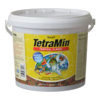 Buy Tetra TetraMin Tropical Flakes Fish Food