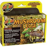 Buy Zoo Med Naturalistic Terrarium Mushroom Ledge