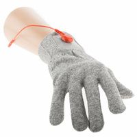 Buy Pain Management Universal Electrotherapy Glove