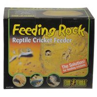 Buy Exo-Terra Feeding Rock Reptile Cricket Feeder